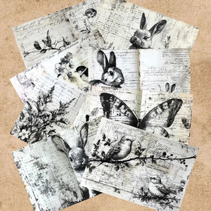 Papier Scrapbook Noir et Blanc
