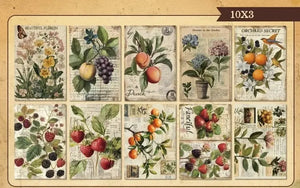 Papier Journal Scrapbooking Fruits