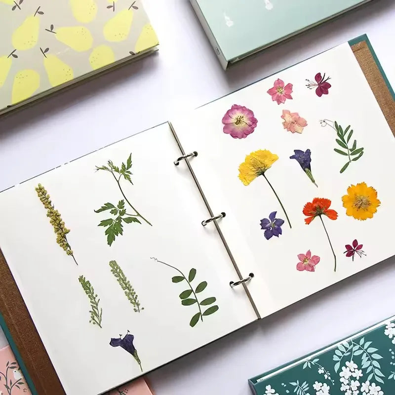 Album Papier Scrapbooking pour Collection de Fleurs