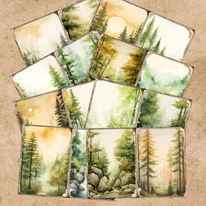 Papier de Scrapbooking Forêt