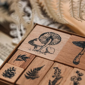 Tampon scrapbooking Nature, coffret herbier (champignons, fougères)